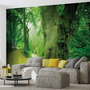 Posters Fototapeta Forest Nature Trees 152.5x104 cm - 130g/m2 Vlies Non-Woven - Posters